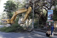 Martes 23 de febrero. Los árboles de la calzada del Parque de Convivencia Infantil sufren el paso de la modernización de las calzadas del lado oriente de la ciudad. Martes 23 de febrero. Los árboles de la calzada del Parque de Convivencia Infantil sufren el paso de la modernización de las calzadas del lado oriente de la ciudad.