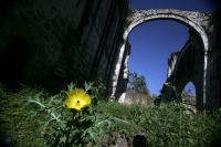 Martes 8 de febrero.  El ex Convento de Copanahuastla marca el trazo del Camino Real entre el centro de Chiapas y Guatemala y actualmente se encuentra en ruinas en el antiguo asentamiento del pueblo Tsental. La estructura arquitectónica de esta iglesia se