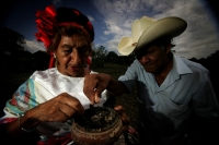 Antonio de Copoya  Más fotos en el server.  René Araujo.  Cañadas de Copoya. Lunes 7 de junio. Una semana antes del día de San Antonio de Padua, un anciano recorre los pasillos de una humilde casa de adobe, lleva varias jícaras de pozol para convidar a lo