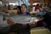 Los locatarios de los mercados de la ciudad esperan que esta cuaresma se incremente la venta de pescados y marisco esto a pesar de las informaciones que se han generado sobre una posible temporada de marea roja en las costas chiapanecas.