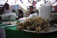 Familias tuxtlecas pasean por el parque de la marimba esta tarde disfrutando de la Muestra Gastronomica de la Flor del Cuchunuc para después bailar y disfrutar de la música interpretada por los marimbistas chiapanecos.