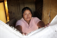 Miércoles 1 de octubre del 2014. Tuxtla Gutiérrez. Varias colonias populares de la zona Sur Poniente de la capital del estado de Chiapas continúan afectadas por los constantes deslaves ocasionados por las lluvias por lo que técnicos de CFE realizan el ref