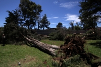Jueves 7 de agosto del 2014. San Cristóbal de las Casas. El tornado F-0 (cero) del día de ayer presentó ráfagas de viento con más de 70 kilómetros por hora según autoridades de CONAGUA y se han contabilizado más de 400 viviendas afectadas, 40 árboles derr