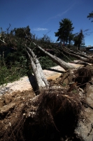 Jueves 7 de agosto del 2014. San Cristóbal de las Casas. El tornado F-0 (cero) del día de ayer presentó ráfagas de viento con más de 70 kilómetros por hora según autoridades de CONAGUA y se han contabilizado más de 400 viviendas afectadas, 40 árboles derr