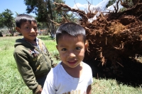 Jueves 7 de agosto del 2014. San Cristóbal de las Casas. El tornado F-0 (cero) del día de ayer presentó ráfagas de viento con más de 70 kilómetros por hora según autoridades de CONAGUA y se han contabilizado más de 400 viviendas afectadas, 40 árboles derr