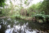 Martes 7 de enero del 2014. Chiapa de Corzo. Los baños del jabalí o  Ngombú  Uhu  o Cumbujuyu lugar donde se ubican las aguas azufradas o curativas donde se sitúa el inicio de las historias de María de Angulo que da origen a las festividades de Enero y a 