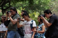 Domingo 24 de abril del 2016. Tuxtla Gutiérrez. NI Olvido ni Monopolio en la Danza. Los grupos dancísticos de Chiapas se reúnen este medio día en el Museo Regional de Chiapas celebrando el Día Mundial de la Danza que se conmemora desde 1982 a iniciativa d