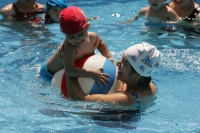 El club de natación el Delfín presentan los cursos para bebés en sus instalaciones esta mañana.