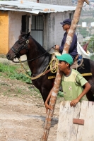 Martes 27 de mayo del 2014. Tuxtla Gutiérrez. Las fuerzas policiacas del estado de Chiapas acompañan el desalojo de los predios invadidos en las cercanías del fraccionamiento Vida Mejor y que los colonos denominan Colonia Manuel Velazco