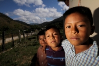 Martes 22 de noviembre. Hambre en las comunidades de los Chimalapas.