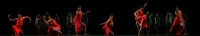 Viernes 18 de noviembre del 2016. Tuxtla Gutiérrez. Zaira Lobato. Durante el VI Encuentro Estatal de Solos y Duetos en Danza Contemporánea del XXXIV aniversario del Teatro de la Ciudad Emilio Rabasa.