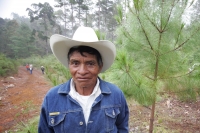 Jueves 10 de febrero. Ejidatarios de la comunidad San Bartolomé de las Casas continúan con el Aprovechamiento Forestal de la región con la explotación de arboles forestales en la zona altos de Chiapas. Estos programas son aplicados bajo la supervisión de 