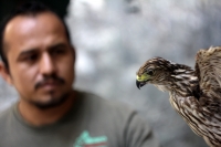 Martes 9 de diciembre del 2014. Tuxtla Gutiérrez. El departamento de Taxidermia del Zoológico Miguel Álvarez del Toro realiza la elaboración de un programa de ahorro de energía integral dentro del área de la Reserva Ecológica El Zapotal donde se encuentra