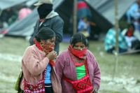 EZLN. A pesar de la ausencia de comunicados y mensajes epistolares del EZLN, la cancelación de los festejos del levantamiento armado del 94 en las comunidades zapatistas y de los rumores mediáticos sobre la muerte del líder o la participación de algunas f