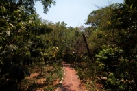 Domingo 22 de abril del 2108. Tuxtla Gutiérrez.  Dí­a internacional de la tierra. La reducción de las cuatro hectáreas y media del Jardí­n Botánico Faustino Miranda muestran el abandono y la afectación premeditada de las zonas verdes de la ciudad. El