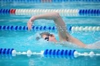 Los nadadores participantes en la copa de la Federación Internacional de Natación  FINA de aguas abiertas se preparan esta mañana en la ciudad para que este fin de semana se adentren a las aguas del Cañón del Sumidero.