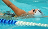 Los nadadores participantes en la copa de la Federación Internacional de Natación  FINA de aguas abiertas se preparan esta mañana en la ciudad para que este fin de semana se adentren a las aguas del Cañón del Sumidero.