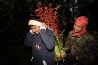 Martes 16 de diciembre del 2014. San Cristóbal de las Casas. Los Jóvenes Floreros del municipio de Chiapa de Corzo y de Ácala recorren la zona boscosa de la comunidad Mitziton en la región Altos del estado de Chiapas recolectando la flor de NIluyarilu den
