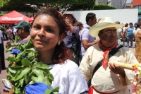 La flor de mayo.