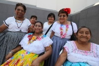 La flor de mayo.