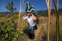 Viernes 20 de diciembre del 2013. Acala. Los Floreros de Chiapa de Corzo llegan esta mañana a El Rodeo donde pernoctaran antes de regresar a la colonial ciudad de la ribera con los atados de flor de Nilurayilo sobre las espaldas y después de recorrer algu