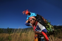 Viernes 20 de diciembre del 2013. Acala. Los Floreros de Chiapa de Corzo llegan esta mañana a El Rodeo donde pernoctaran antes de regresar a la colonial ciudad de la ribera con los atados de flor de Nilurayilo sobre las espaldas y después de recorrer algu
