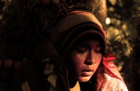 Lunes 21 de diciembre del 2015. Chiapa de Corzo. Los cientos de Floreros llegan esta madrugada a las cercanÃas de la comunidad de la ribera del Grijalva sucios y cansados después de permanecer durante 8 dÃas en las montañas de Los altos de Chiapas donde r Lunes 21 de diciembre del 2015. Chiapa de Corzo. Los cientos de Floreros llegan esta madrugada a las cercanÃas de la comunidad de la ribera del Grijalva sucios y cansados después de permanecer durante 8 dÃas en las montañas de Los altos de Chiapas donde r