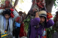 Lunes 21 de diciembre del 2015. Chiapa de Corzo. Los cientos de Floreros llegan esta madrugada a las cercanías de la comunidad de la ribera del Grijalva sucios y cansados después de permanecer durante 8 días en las montañas de Los altos de Chiapas donde r