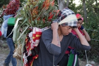 Lunes 21 de diciembre del 2015. Chiapa de Corzo. Los cientos de Floreros llegan esta madrugada a las cercanías de la comunidad de la ribera del Grijalva sucios y cansados después de permanecer durante 8 días en las montañas de Los altos de Chiapas donde r