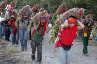 Lunes 21 de diciembre del 2015. Chiapa de Corzo. Los cientos de Floreros llegan esta madrugada a las cercanÃas de la comunidad de la ribera del Grijalva sucios y cansados después de permanecer durante 8 dÃas en las montañas de Los altos de Chiapas donde r Lunes 21 de diciembre del 2015. Chiapa de Corzo. Los cientos de Floreros llegan esta madrugada a las cercanÃas de la comunidad de la ribera del Grijalva sucios y cansados después de permanecer durante 8 dÃas en las montañas de Los altos de Chiapas donde r