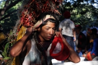 Lunes 21 de diciembre del 2015. Chiapa de Corzo. Los cientos de Floreros llegan esta madrugada a las cercanías de la comunidad de la ribera del Grijalva sucios y cansados después de permanecer durante 8 días en las montañas de Los altos de Chiapas donde r