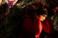 Lunes 21 de diciembre del 2015. Chiapa de Corzo. Los cientos de Floreros llegan esta madrugada a las cercanías de la comunidad de la ribera del Grijalva sucios y cansados después de permanecer durante 8 días en las montañas de Los altos de Chiapas donde r