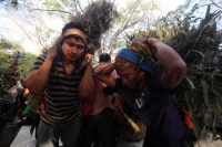 Miércoles 21 de diciembre del 2016. Chiapa de Corzo. La Topada de la Flor. Los jóvenes floreros llegan a Chiapa de Corzo después de caminar por cientos de kilómetros hacia las comunidades de Los Altos de Chiapas y de recolectar manojos o amarres del tubér
