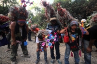 Miércoles 21 de diciembre del 2016. Chiapa de Corzo. La Topada de la Flor. Los jóvenes floreros llegan a Chiapa de Corzo después de caminar por cientos de kilómetros hacia las comunidades de Los Altos de Chiapas y de recolectar manojos o amarres del tubér