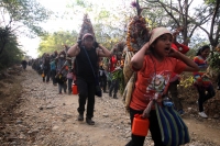 Miércoles 21 de diciembre del 2016. Chiapa de Corzo. La Topada de la Flor. Los jóvenes floreros llegan a Chiapa de Corzo después de caminar por cientos de kilómetros hacia las comunidades de Los Altos de Chiapas y de recolectar manojos o amarres del tubér