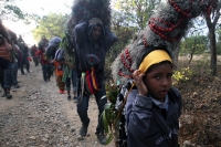 Miércoles 21 de diciembre del 2016. Chiapa de Corzo. La Topada de la Flor. Los jóvenes floreros llegan a Chiapa de Corzo después de caminar por cientos de kilómetros hacia las comunidades de Los Altos de Chiapas y de recolectar manojos o amarres del tubér Miércoles 21 de diciembre del 2016. Chiapa de Corzo. La Topada de la Flor. Los jóvenes floreros llegan a Chiapa de Corzo después de caminar por cientos de kilómetros hacia las comunidades de Los Altos de Chiapas y de recolectar manojos o amarres del tubér