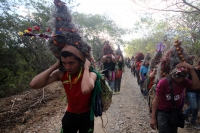 Miércoles 21 de diciembre del 2016. Chiapa de Corzo. La Topada de la Flor. Los jóvenes floreros llegan a Chiapa de Corzo después de caminar por cientos de kilómetros hacia las comunidades de Los Altos de Chiapas y de recolectar manojos o amarres del tubér