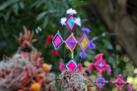 Miércoles 21 de diciembre del 2016. Chiapa de Corzo. La Topada de la Flor. Los jóvenes floreros llegan a Chiapa de Corzo después de caminar por cientos de kilómetros hacia las comunidades de Los Altos de Chiapas y de recolectar manojos o amarres del tubér