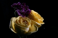 Flores chiapanecas
