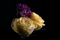 Flores chiapanecas