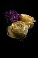 Flores chiapanecas