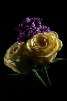 Flores chiapanecas