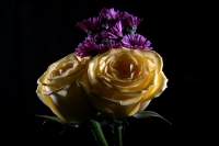 Flores chiapanecas