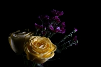 Flores chiapanecas