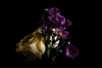 Flores chiapanecas