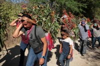 Viernes 21 de diciembre del 2018. Chiapa de Corzo. Los Floreros terminan el recorrido de La Topada de la Flor en la región de Los Altos donde recolectaron la flor de Niluyarilu, tubérculo que es usado de manera ceremonial al inicio de los festejos de la