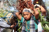 Jueves 21 de diciembre del 2017. Chiapa de Corzo. Los jóvenes floreros llegan este medio dí­a a Chiapa de Corzo después de permanecer recolectando la flor de Niluyarilu en las comunidades de la zona de Los Altos de Chiapas. Este tubérculo será utiliza