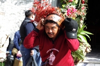 Martes 18 de diciembre del 2018. Zinacantan. Los tuberculos de la flor de Niluyarilo es recoelctada por jóvenes provenientes de la comunidad de Chiapa de Corzo en las comunidades de Los altos de Chiapas recorriendo varios kilómetros a pie. La planta que