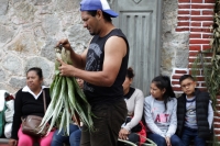 Martes 18 de diciembre del 2018. Zinacantan. Los tuberculos de la flor de Niluyarilo es recoelctada por jóvenes provenientes de la comunidad de Chiapa de Corzo en las comunidades de Los altos de Chiapas recorriendo varios kilómetros a pie. La planta que
