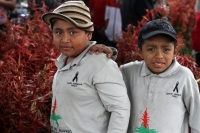 Martes 18 de diciembre del 2018. Zinacantan. Los tuberculos de la flor de Niluyarilo es recoelctada por jóvenes provenientes de la comunidad de Chiapa de Corzo en las comunidades de Los altos de Chiapas recorriendo varios kilómetros a pie. La planta que